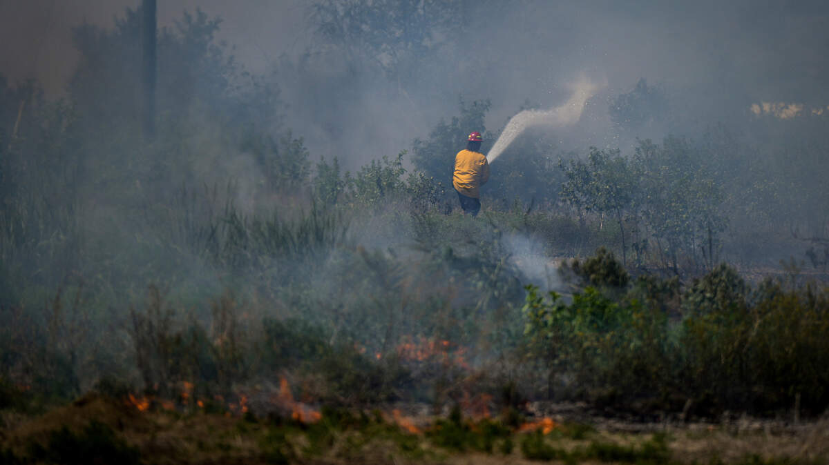 A firefighter directs water on a grass fire on an acreage behind a residential property in Kamloops, British Columbia, Monday, June 5, 2023. No structures were damaged but firefighters had to deal with extremely windy conditions while putting out the blaze. (Darryl Dyck/The Canadian Press via AP)
