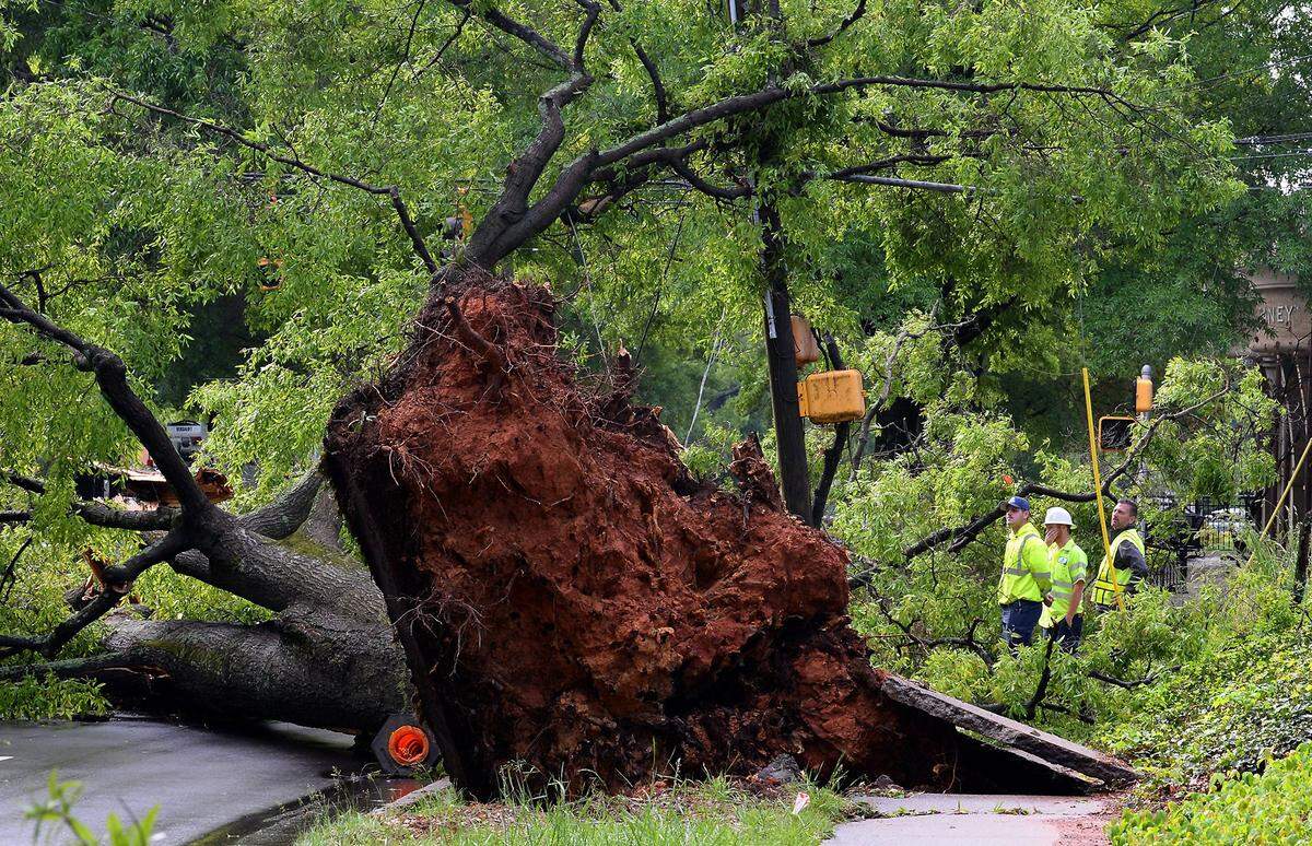 CDOT employees, right, look at a large downed tree at the intersection of E. Morehead St. and Euclid St. in Charlotte, NC on Monday, April 13, 2020. The tree brought down power lines and the stoplight fixtures at the intersection.