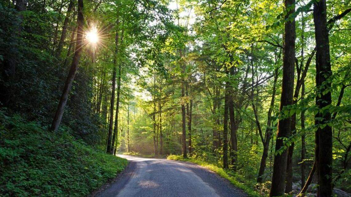 The 184-year-old Parson Branch Road in Great Smoky Mountains National Park has been reopened after six years.
