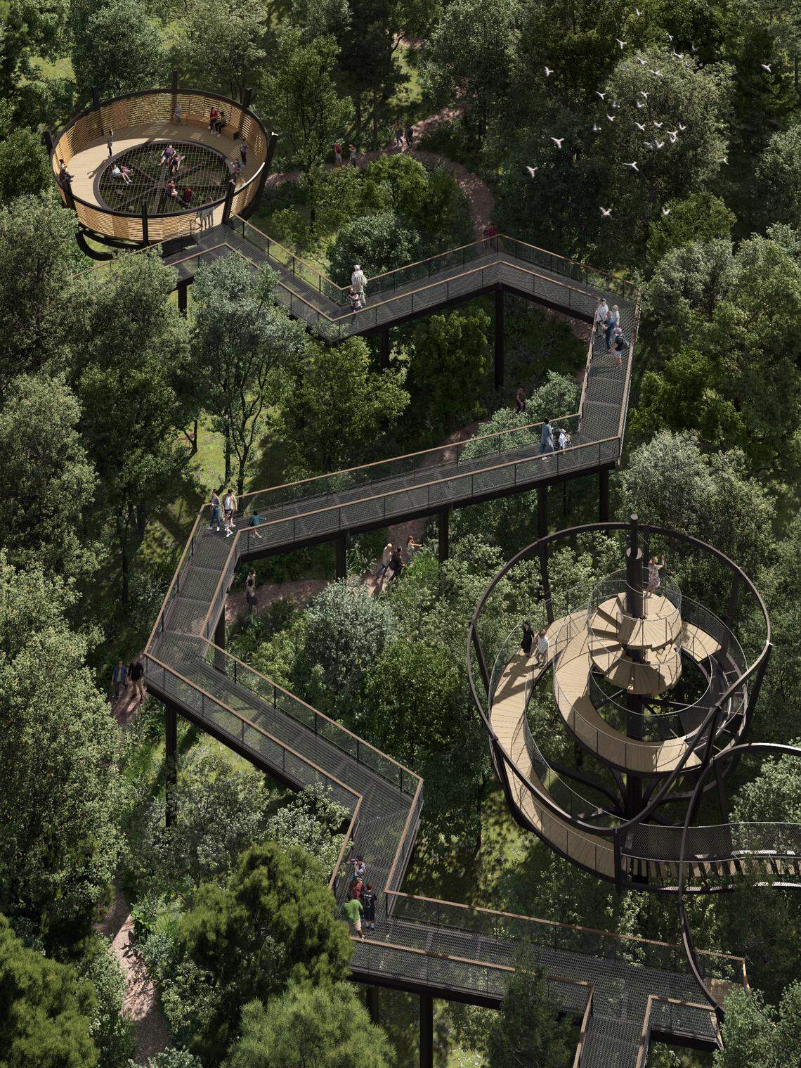 A treetop canopy walk will be part of the new Discovery Place Nature museum in Charlotte.