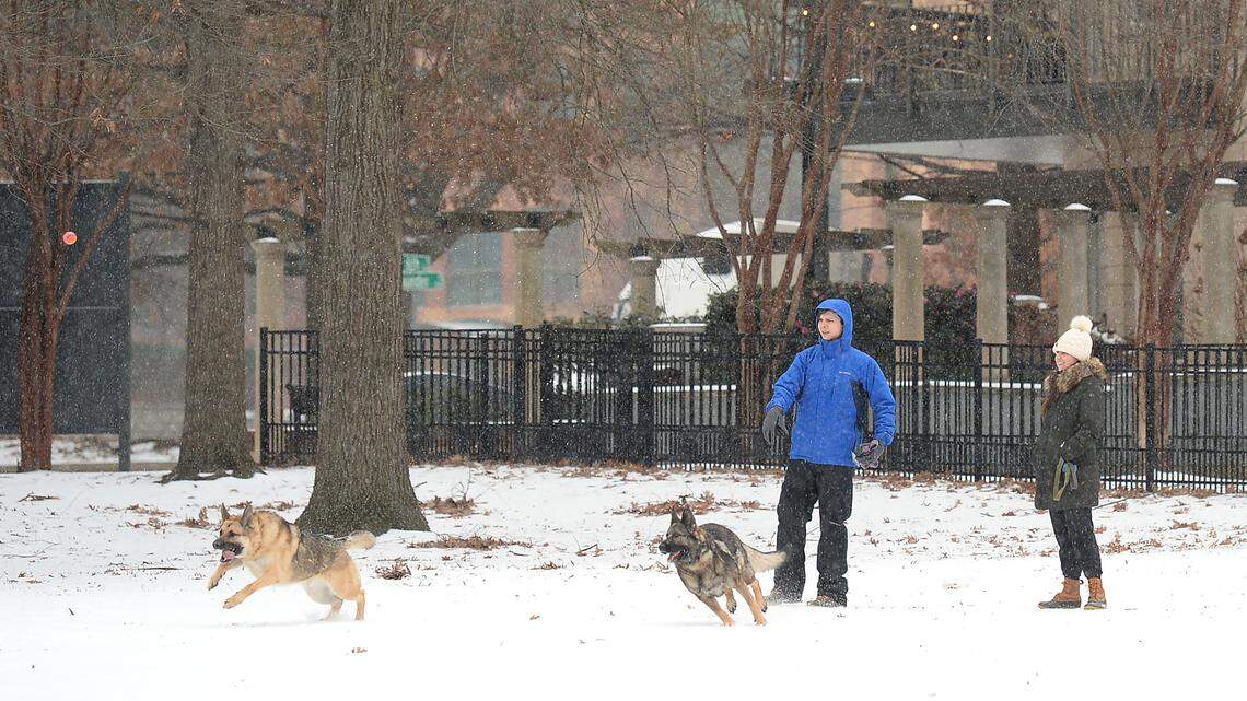 Winter weather can be hard on pets. What you need to know to keep them safe