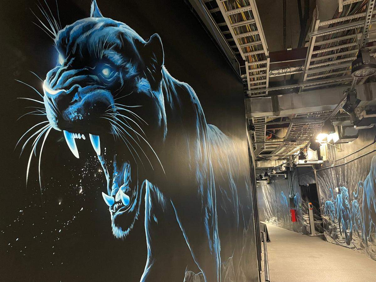 The Carolina Panthers’ new mural wraps around the most important tunnel in Bank of America Stadium: in between the locker room and the tunnel where the players run out. The art will debut on Sunday, Sept. 15, 2024, the Panthers’ home opener.