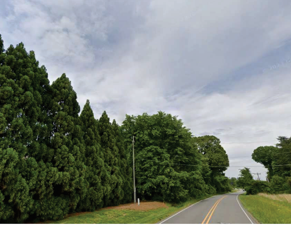 National homebuilder Mattamy Homes proposes 78 homes along this stretch of Langtree Road near Lake Norman in southern Iredell County.