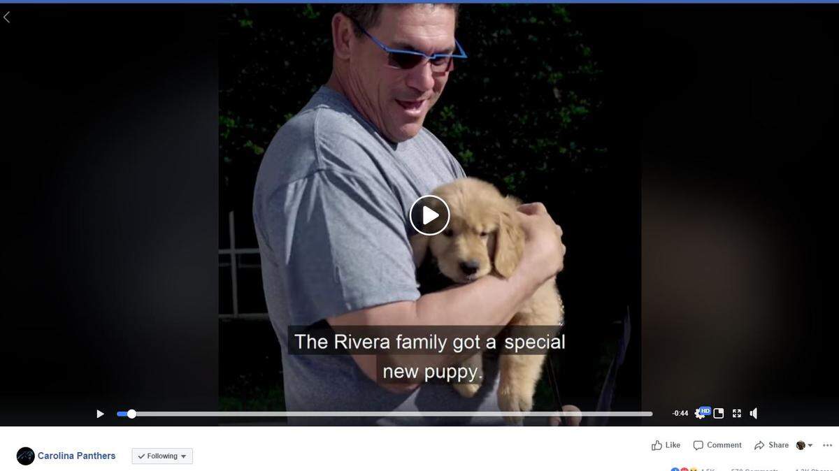 Carolina Panthers coach Ron Rivera and his family welcomed a golden retriever puppy to the household. Tahoe “is 6.8 pounds of pure fluff,” the team posted in a Facebook video announcing the puppy’s arrival. Tahoe wil be trained as a therapy dog for hospital patients and others, the Panthers said.