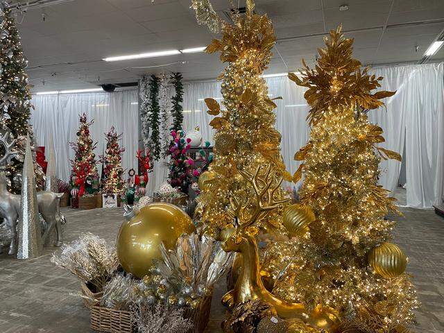 Holiday House is a new Christmas pop-up retail store and photo studio in East Charlotte.