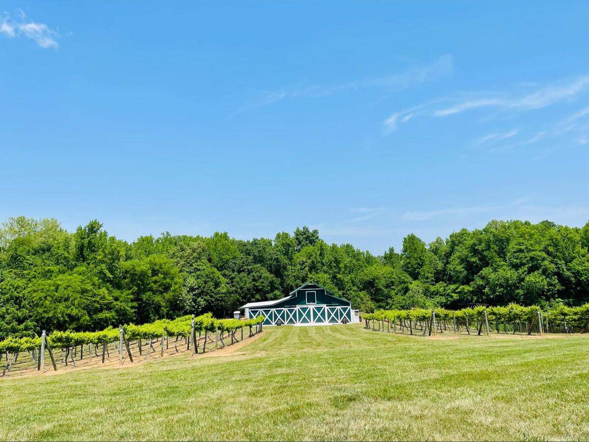 Rocky River Vineyards offers wine flights, along with wine tastings.