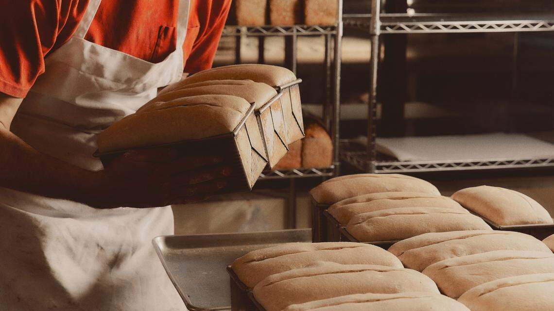 Verdant Bread is a bakery that exclusively serves sourdough breads.