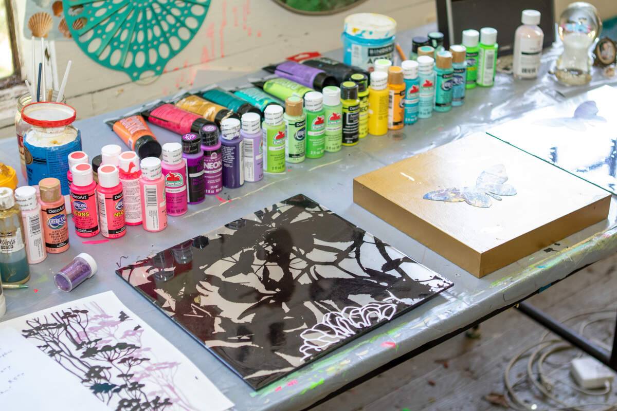For the past decade Charlotte artist Ruth Ava Lyons’ artwork has focused on the environment. She’s primarily interested in ecosystems that are threatened and endangered and travels to endangered locations to do field work before creating her art.