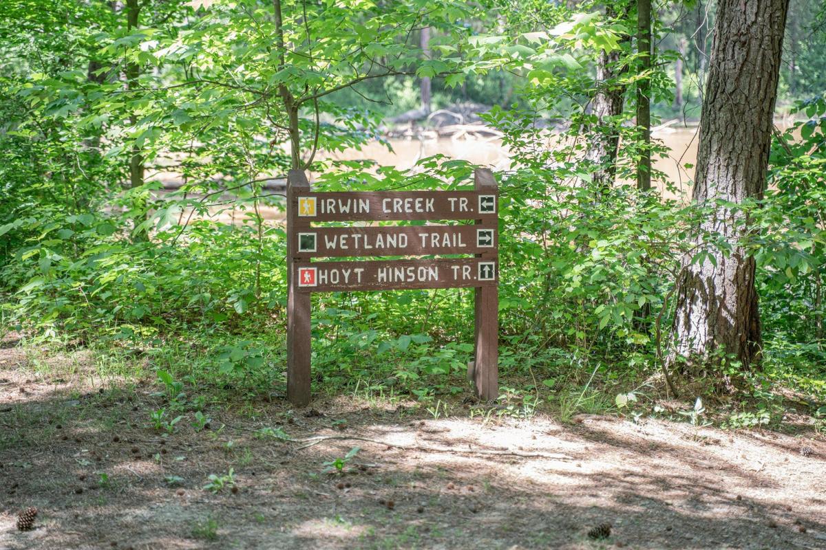 A fork in the road at Ribbonwalk Nature Preserve in Charlotte.