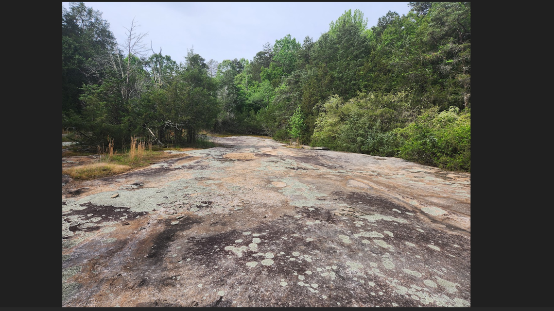 Sprawling rock hidden in North Carolina woods began as trapped magma, experts say