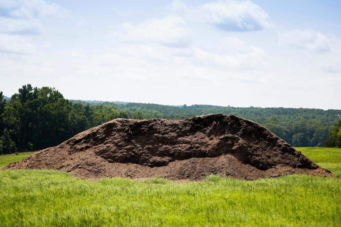 In July, this pile of uncovered poultry litter sat in a field in southern Anson County.