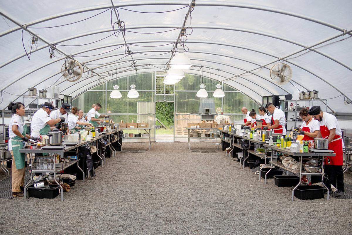 A wide shot from inside a large greenhouse where two rows of chefs in white coats and colored aprons are working at long metal prep tables. The kitchen setup is divided into two teams, one wearing green aprons and the other in red. The structure features a curved translucent roof, hanging industrial lights, and fans, with a gravel floor and lush greenery visible through the glass at the far end.