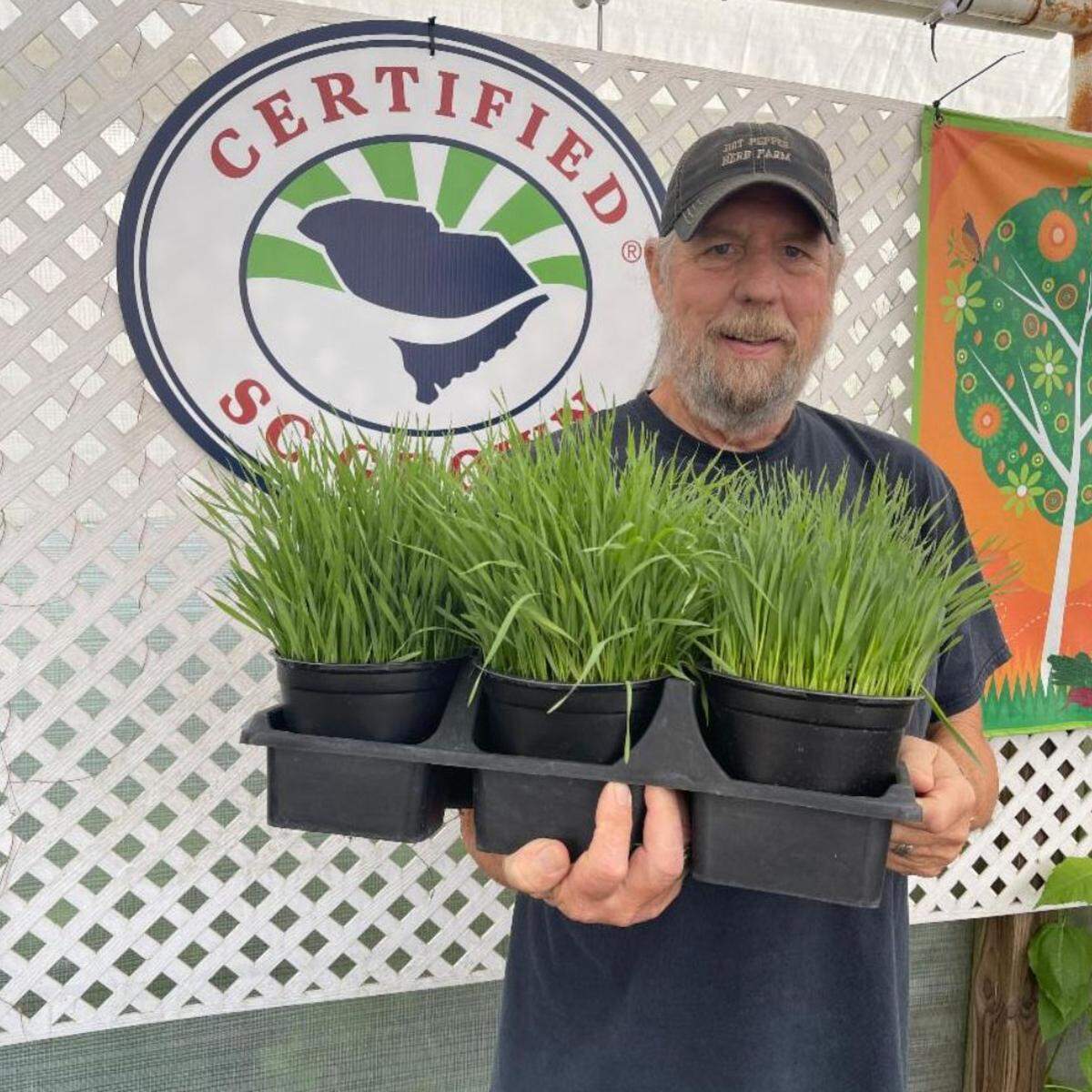 Hot Pepper Herb Farm is among the local producers teaming up with Restaurant Constance for farmer dinners this summer.