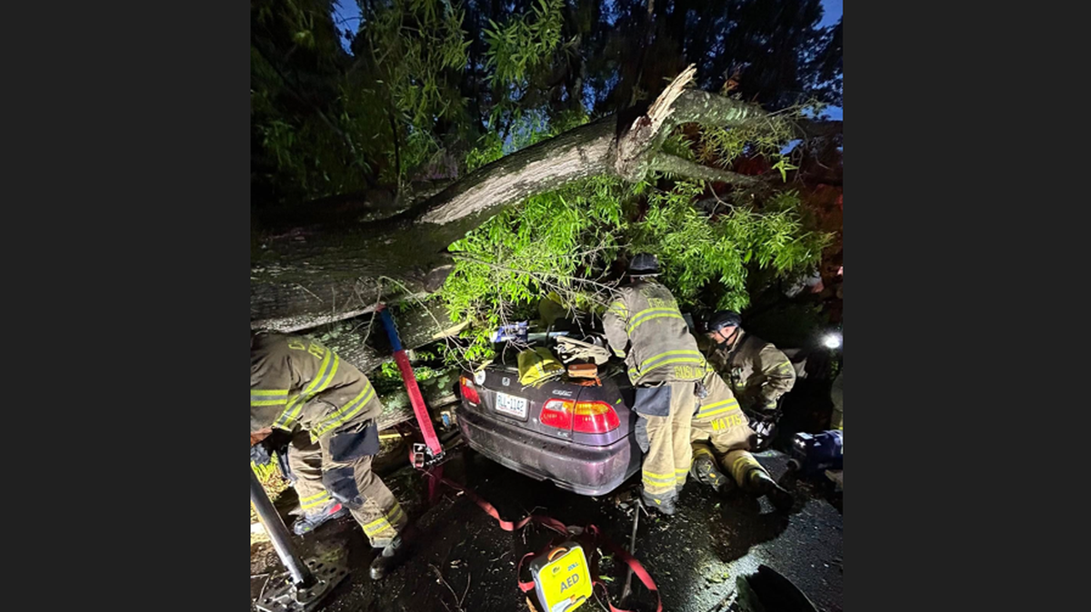 Charlotte Fire Department crews had to stabilize fallen the tree, then work their way to the trapped motorist, officials said.