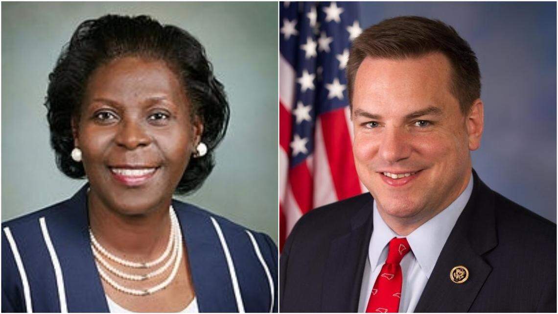 Democrat Patricia_Timmons-Goodson is running against incumbent Republican Rep. Richard Hudson in the 8th Congressional District.
