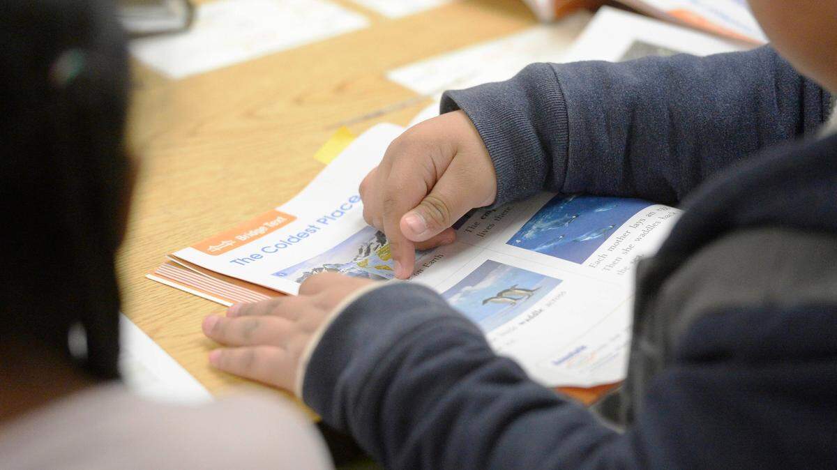A Reedy Creek Elementary second grader works on an English lesson on Monday, January 14, 2019. For the first time ever, Charlotte-Mecklenburg Schools has more than 20,000 immigrant students who need help learning English.

