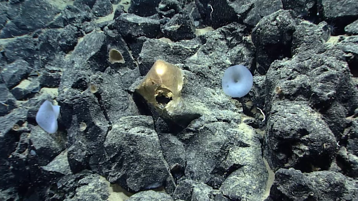 Mysterious ‘golden orb’ found on seafloor in 2023 has been identified, NOAA says