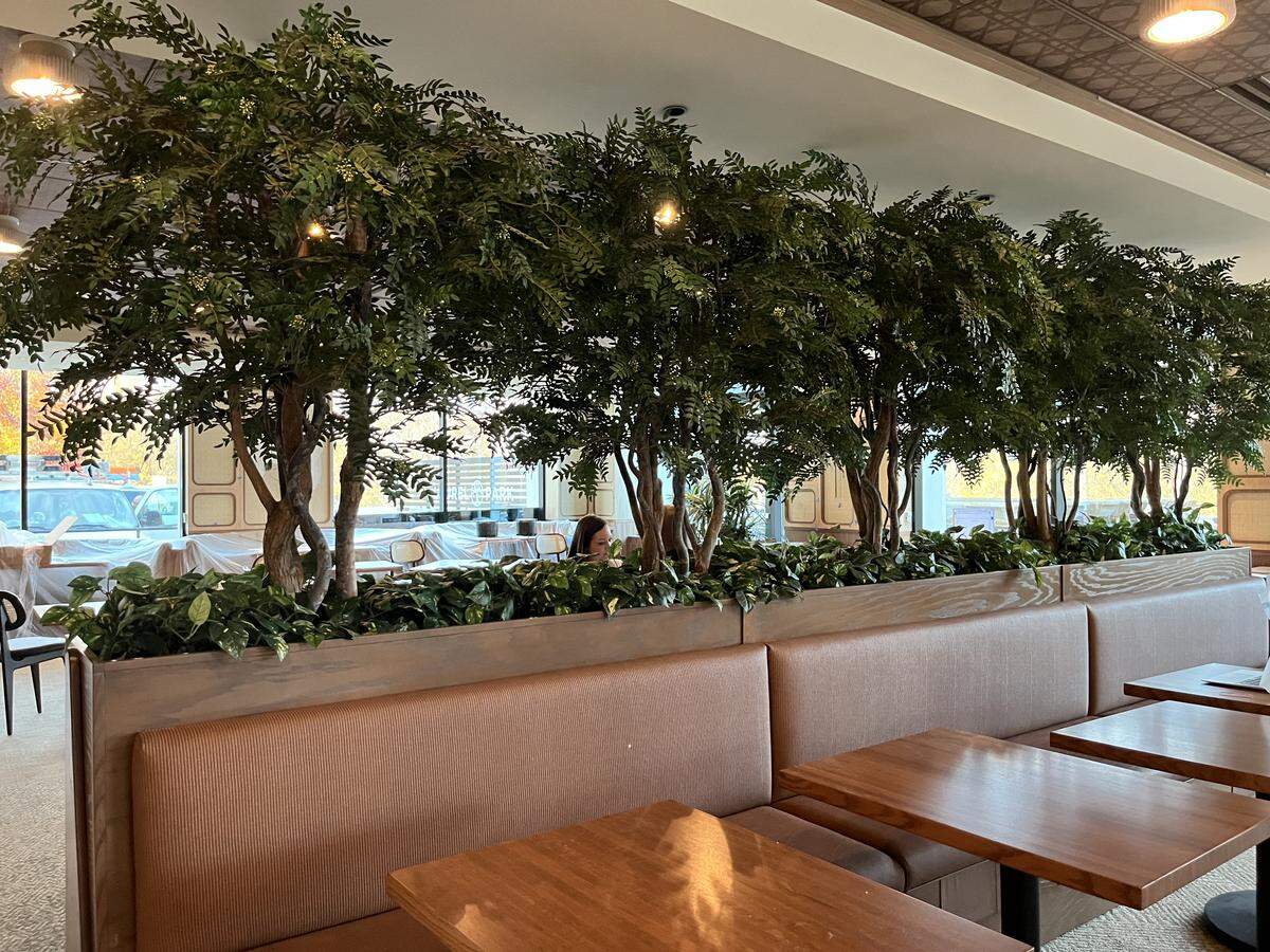 An eye-level shot of a restaurant dining room featuring light-colored upholstered booths and wooden tables. The central seating area is dramatically divided by a long planter box containing a line of tall, leafy artificial trees, with large windows visible behind the greenery.