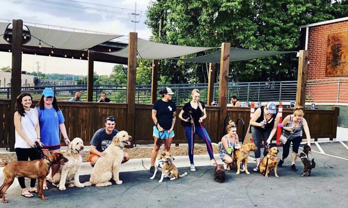 Divine Barrell will host the Puppy Bowl Extravaganza on Super Bowl Sunday in partnership with RescuedMe, a local nonprofit.