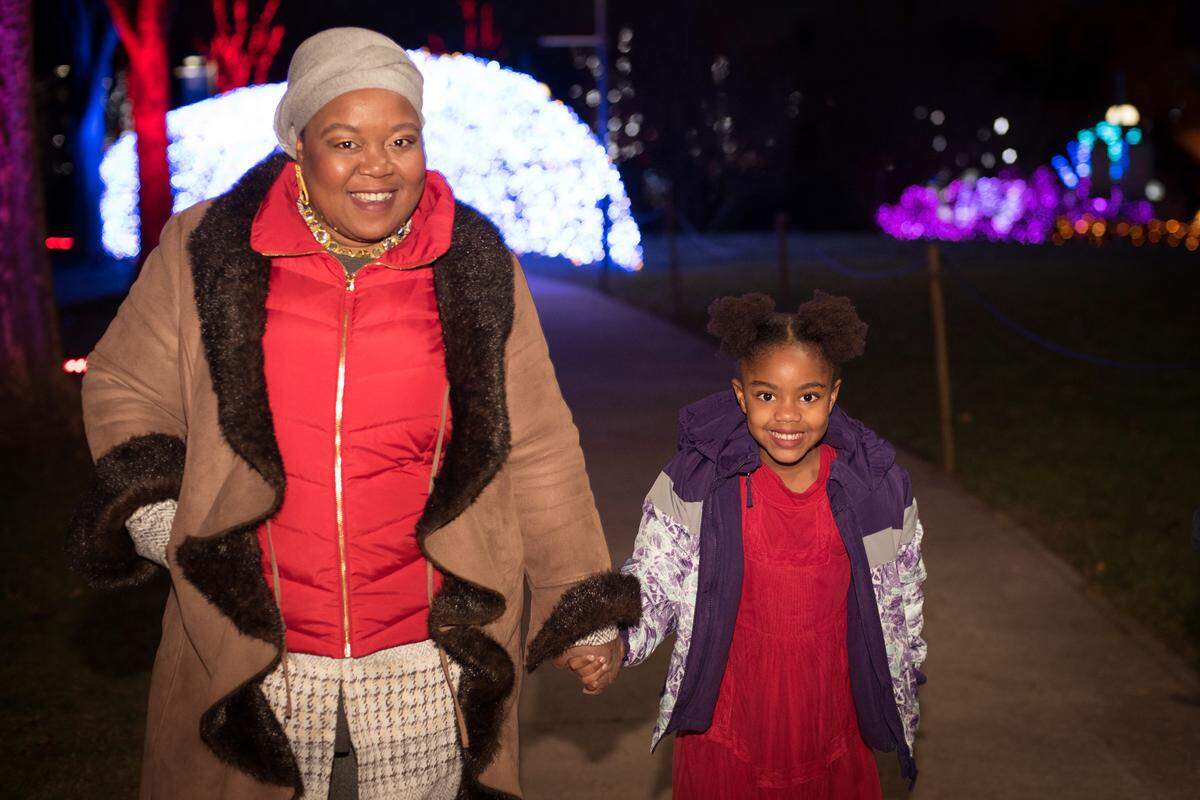 Walk the grounds of the North Carolina Arboretum to see its Winter Lights.