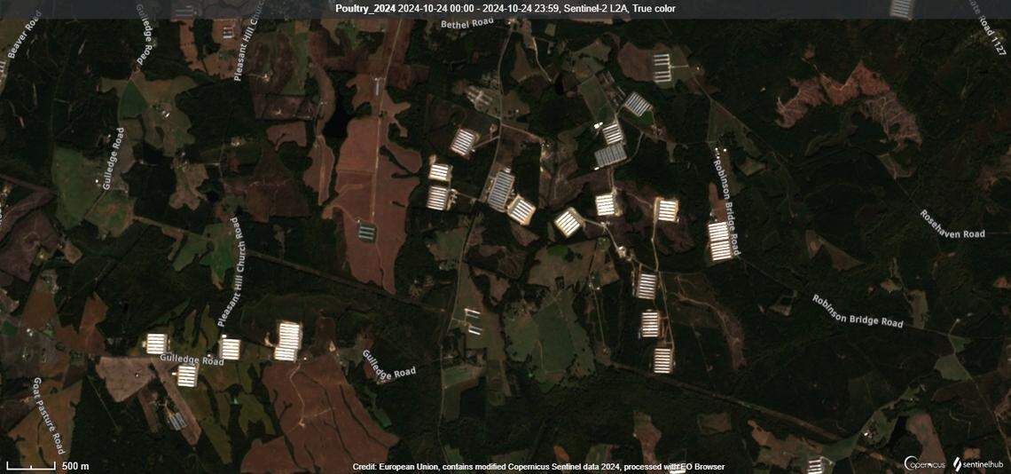 Dozens of poultry barns, some built within the last year, dot the land in Anson County, south of Wadesboro.