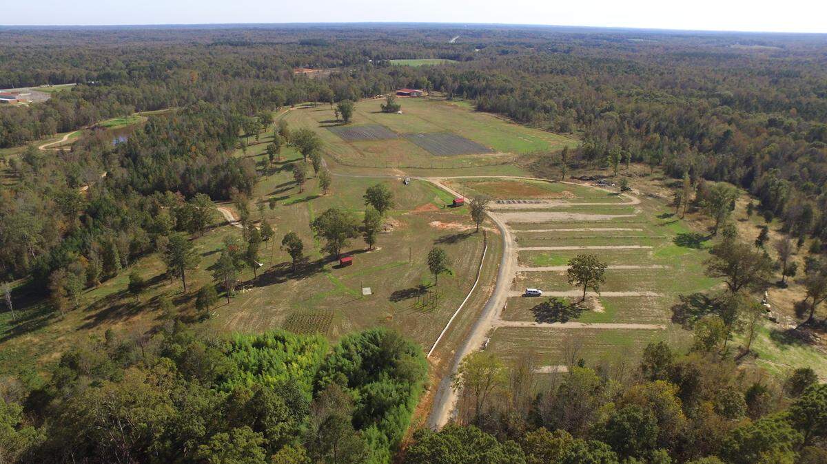 This year, the Hall Family Farm plans to add more food options for visitors who come to pick strawberries.