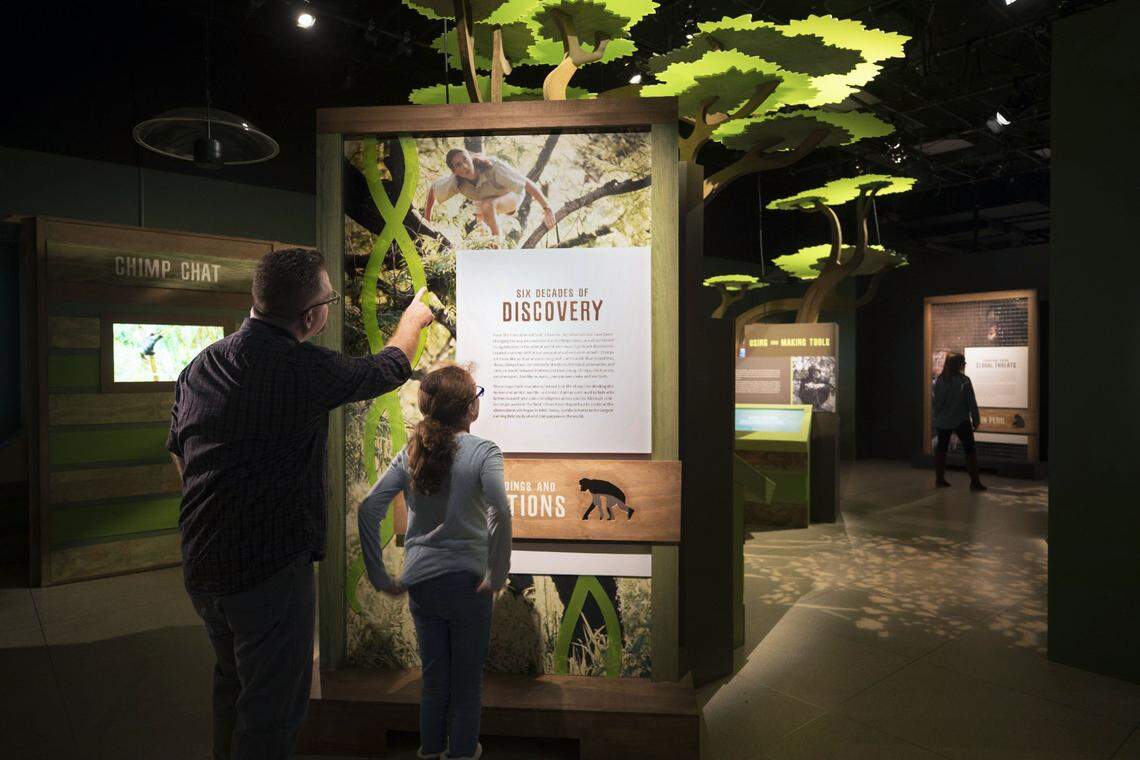 Learn about Jane Goodall’s legacy in the fields of science and conservation at “Becoming Jane: The Evolution of Dr. Jane Goodall.”