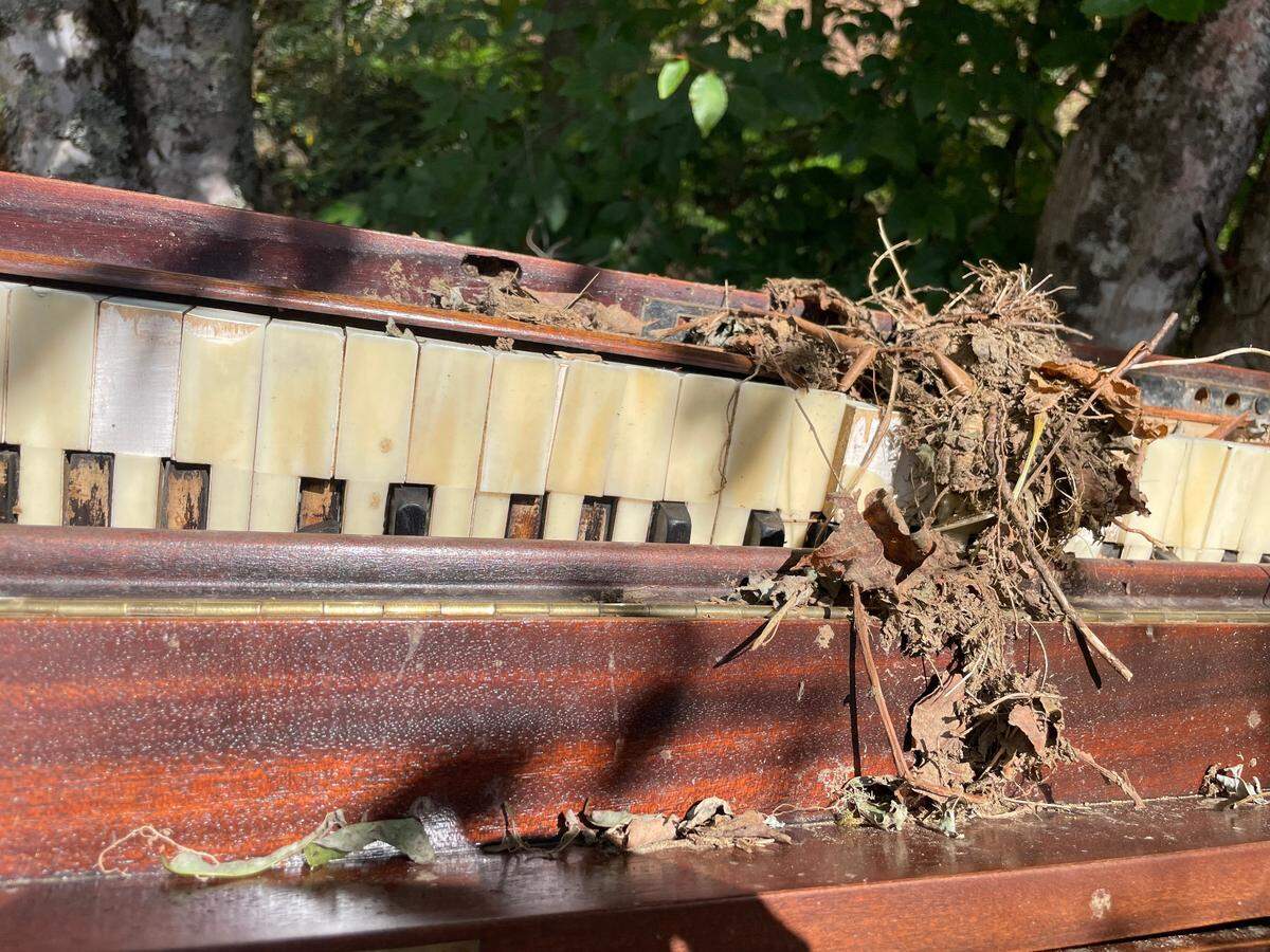 Phillip Hughes, 74, saw his great grandmother’s piano wrecked after Hurricane Helene filled the church where it lived with water and sludge.