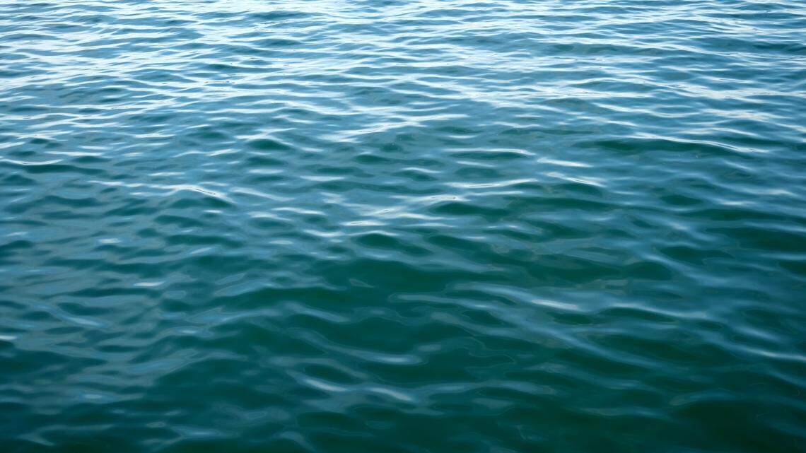 Two anglers spotted the floating body, the sheriff told media outlets.