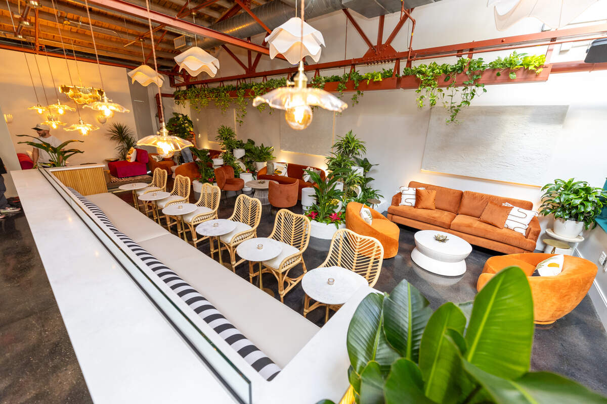 Inside Folia, a cocktail lounge in South End.