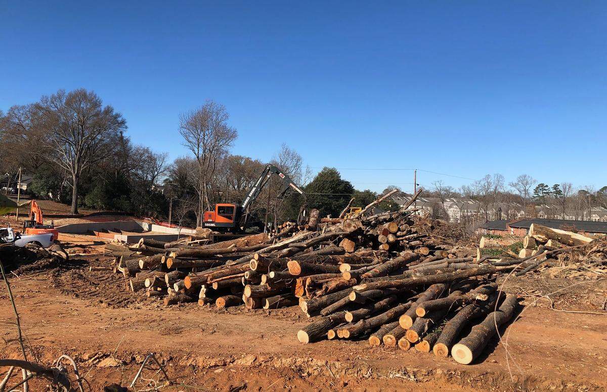 Logs are stacked for removal in a development along Monroe Road. Charlotte’s growth over the past decade has contributed to a decline in tree canopy coverage due in part to both development and incremental losses from homeowners in single-family neighborhoods, city leaders say. The city is considering stricter regulations around the removal of trees by homeowners.