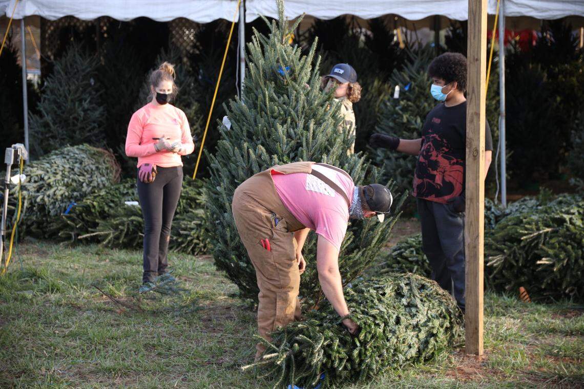 Mountain Man Farms in Concord is selling Fraser Fir Christmas trees, wreaths and garland.