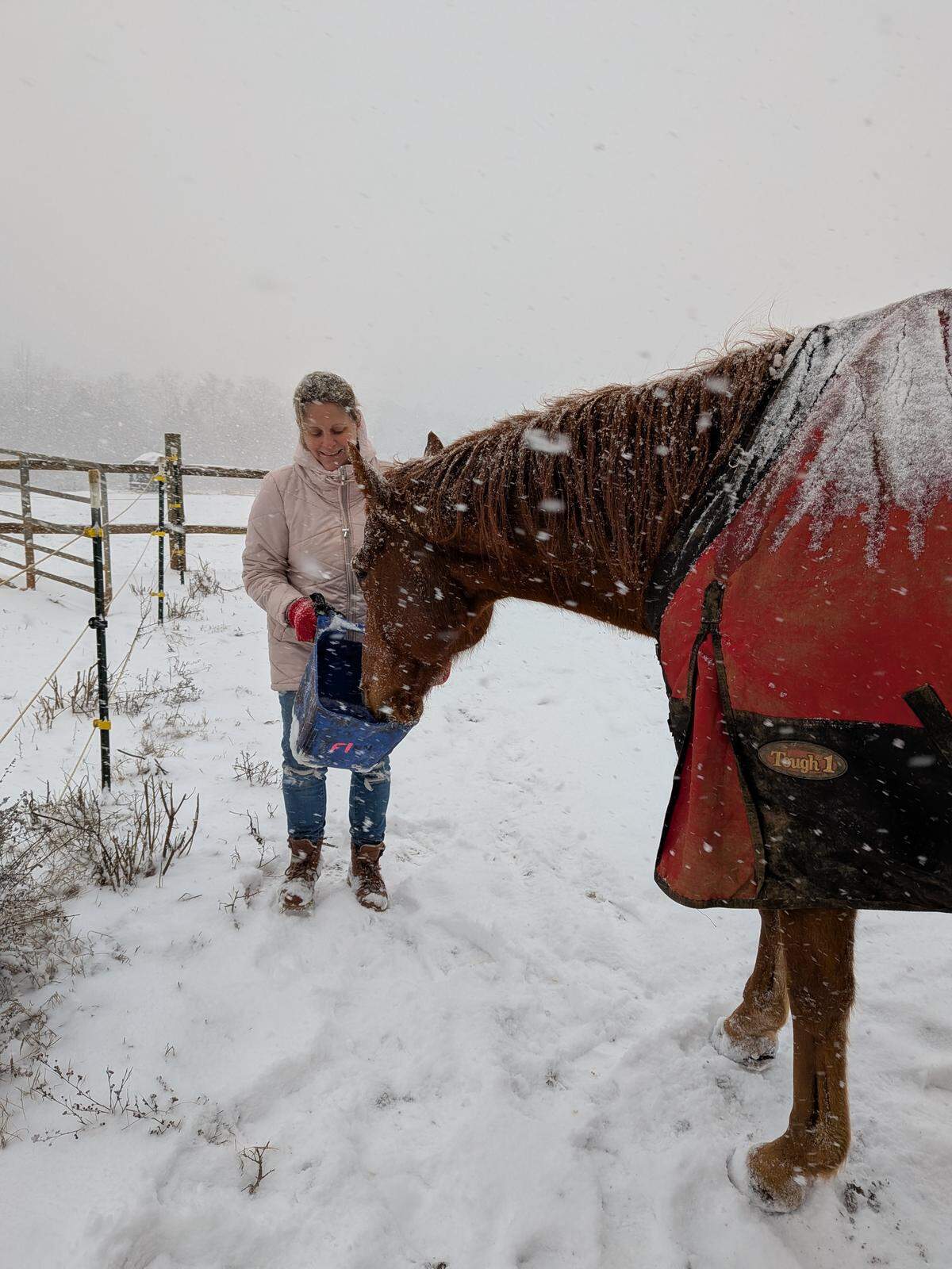 Jennifer Gallagher braves the snow to give morning feed to Finn at Peach Orchard Equestrian Center in Gastonia, near the state line and Lake Wylie, on Saturday, January 31, 2026.