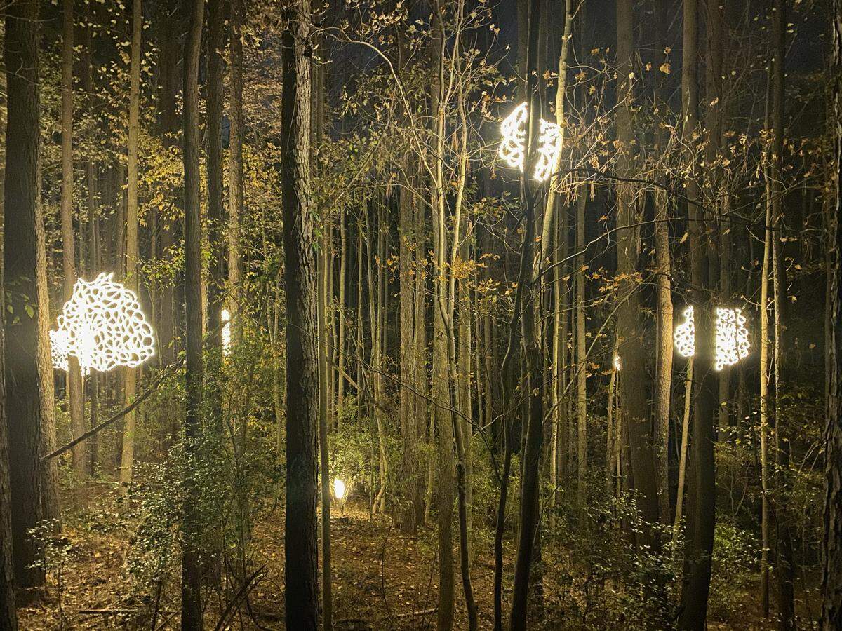 The U.S. National Whitewater Center will host Lights until February.