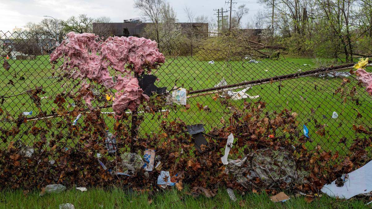 Hundreds of Cows Missing After Tornadoes Destroy Dairy Farm