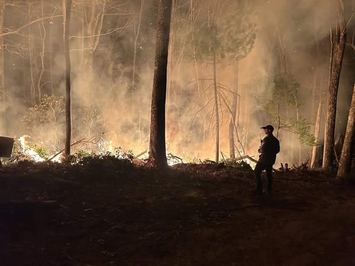 Concord Fire deployed a team that has worked all three of the Black Cove Complex fires, city officials said.