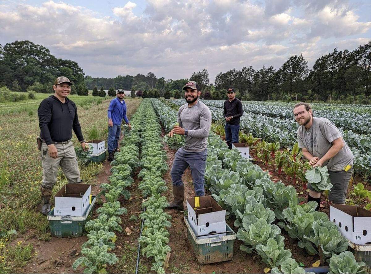 Wild Hope Farm is hosting art and agriculture focused workshops this summer at its regenerative farm in Chester, SC.