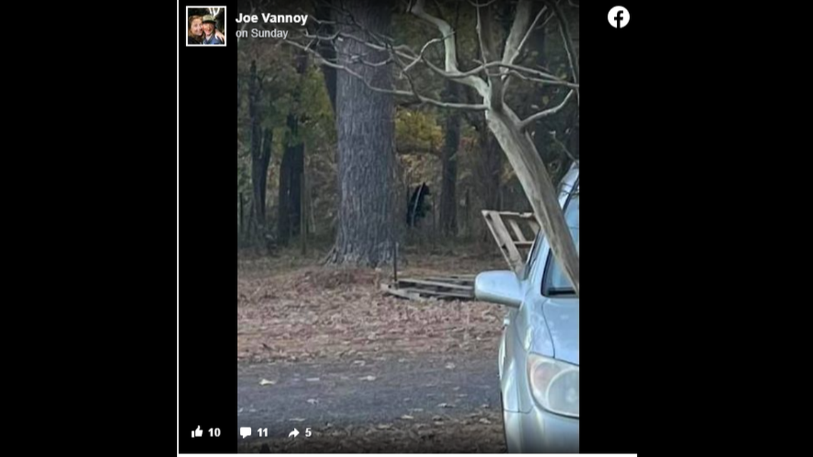 Bear aren’t commonly seen in North Carolina’s Piedmont, so the appearance of one north of Charlotte in Iredell County tends to cause concern.