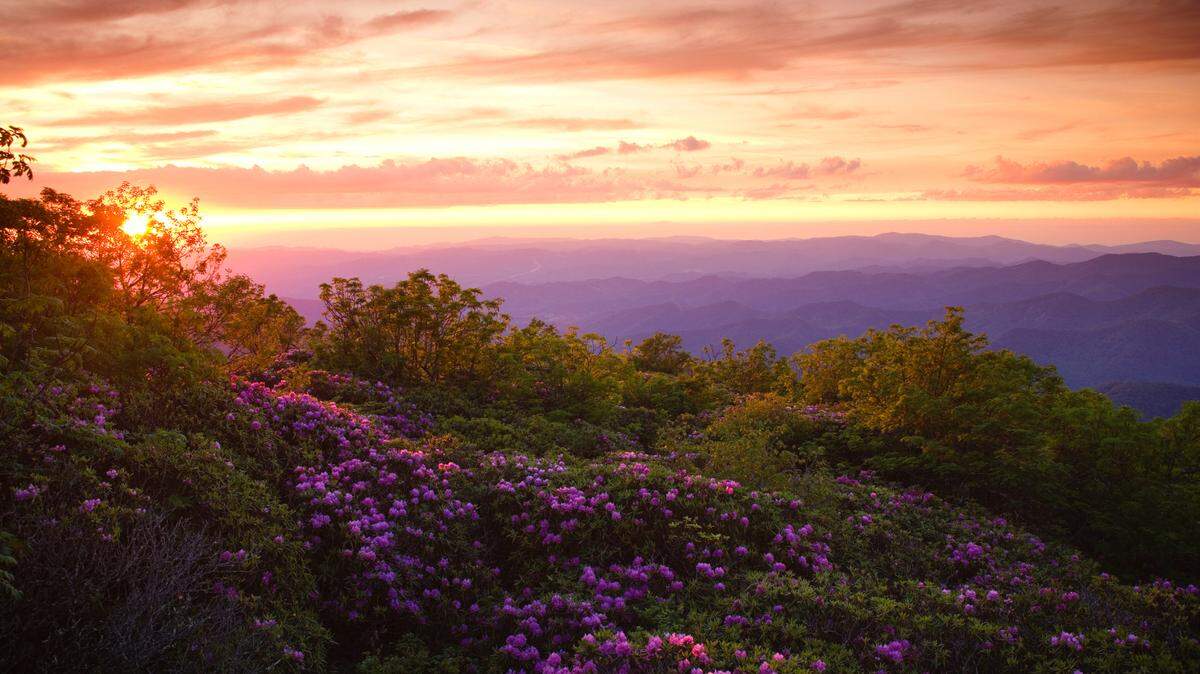 A sunset view from the proposed Craggy National Scenic Area. Craggy’s vistas are the most popular and photographed spots along the Blue Ridge Parkway.