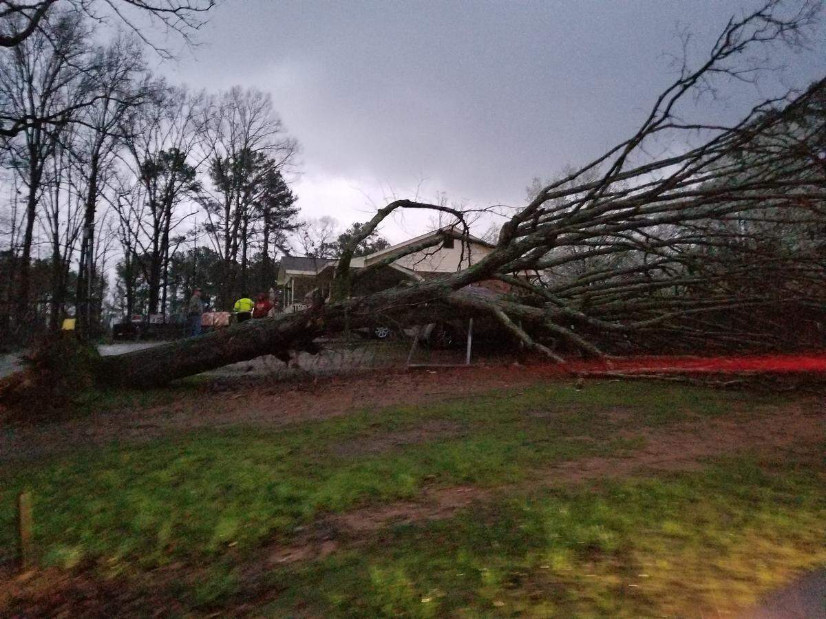 Andy Bagwell of Abbeville, S.C., took this photo of a fallen three minutes after a tornado cut a nearly 1.7-mile path through town Friday night.