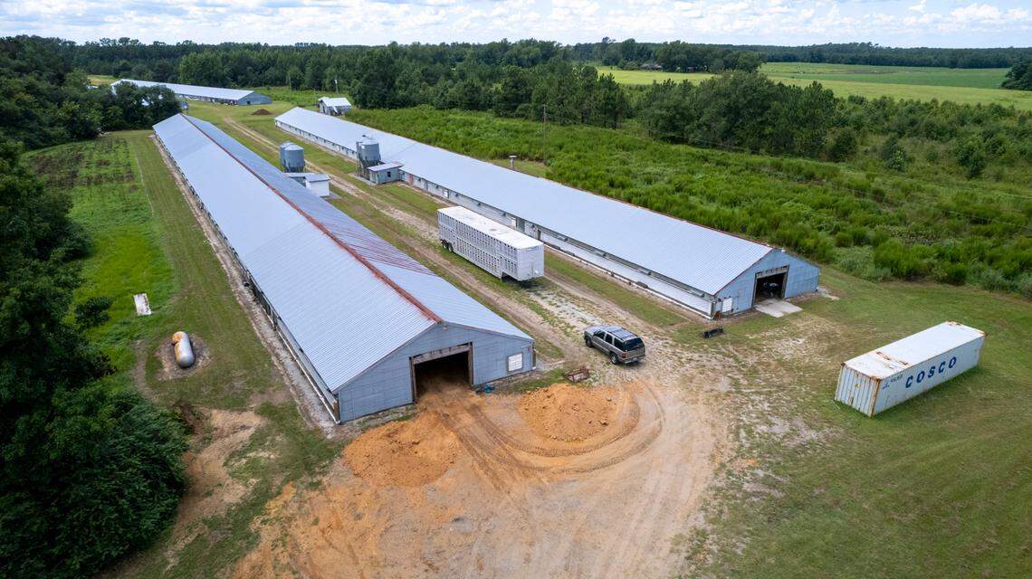 Some of North Carolina’s agricultural exports are sent to China, which has recently issued tariffs on products including chicken and pork.