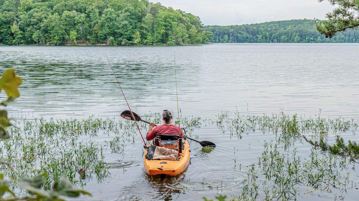 From behind, a kayaker in an orange fishing kayak equipped with two fishing rods paddles on a calm lake, surrounded by the green treeline of the forest.