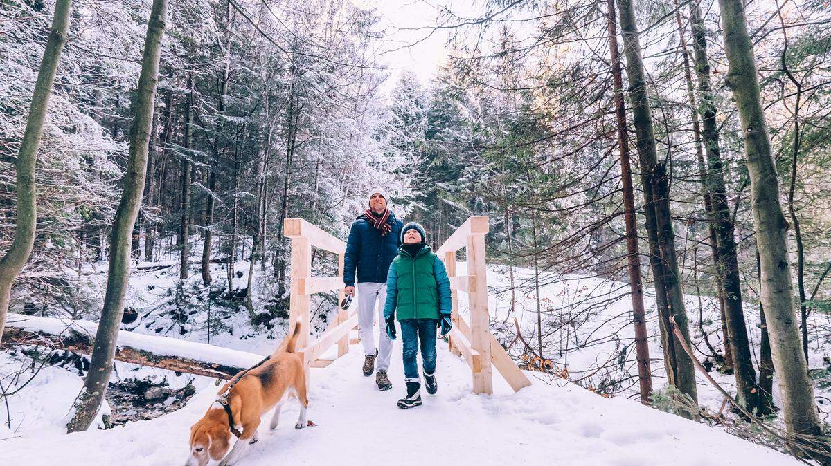 A father and son explore with their dog, hiking in a snowy forest. 