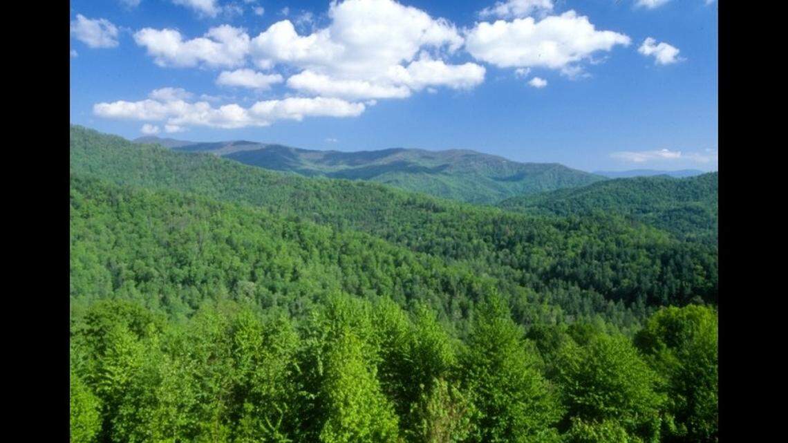 The skull was discovered Jan. 23, as a hiker walking in a wooded area off Burrell Mountain near Brevard, the Cherokee County Sheriff’s Office said in a Feb. 12 news release.   