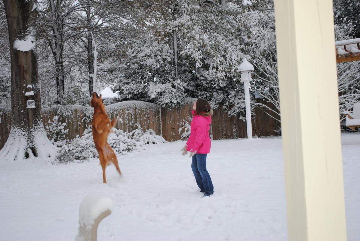Janis Alsop’s golden retriever, Murphy, tries to catch a snowball thrown by her granddaughter, Gabby, in Olde Providence in December 2010.