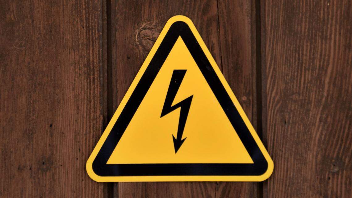 The critter caused a power outage at an intersection, police said.