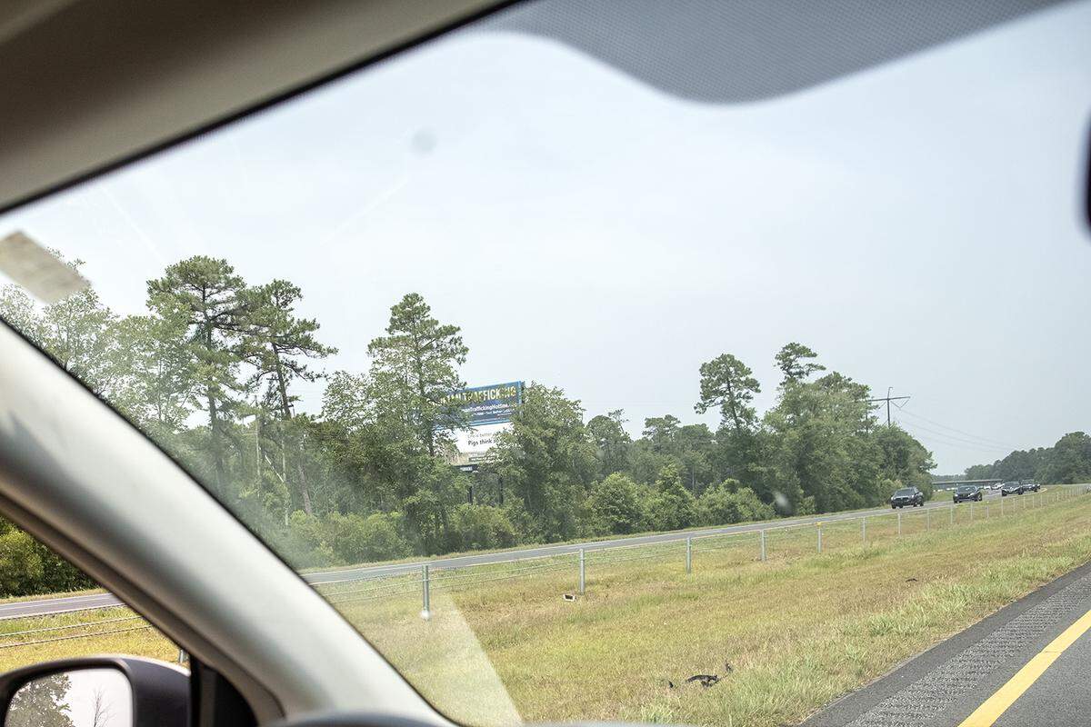 A billboard display along Interstate 40 in Duplin County is hardly visible through the trees.