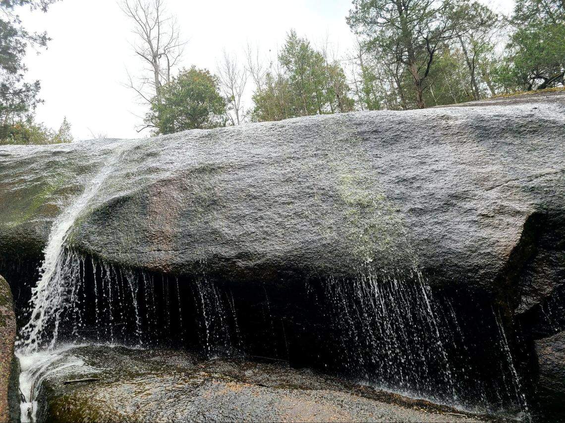 A stream flowing at Forty Acre Rock.