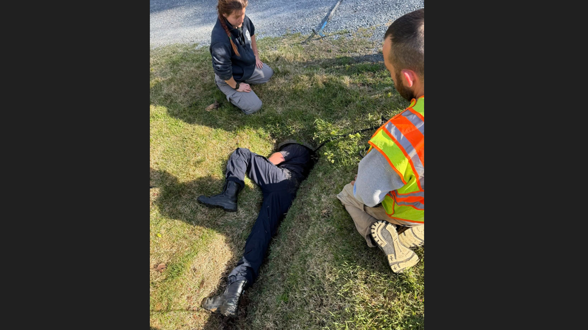 Firefighters in Randolph County, North Carolina, were put in an awkward position when they found a senior dog stuck in a pipe, photos show.