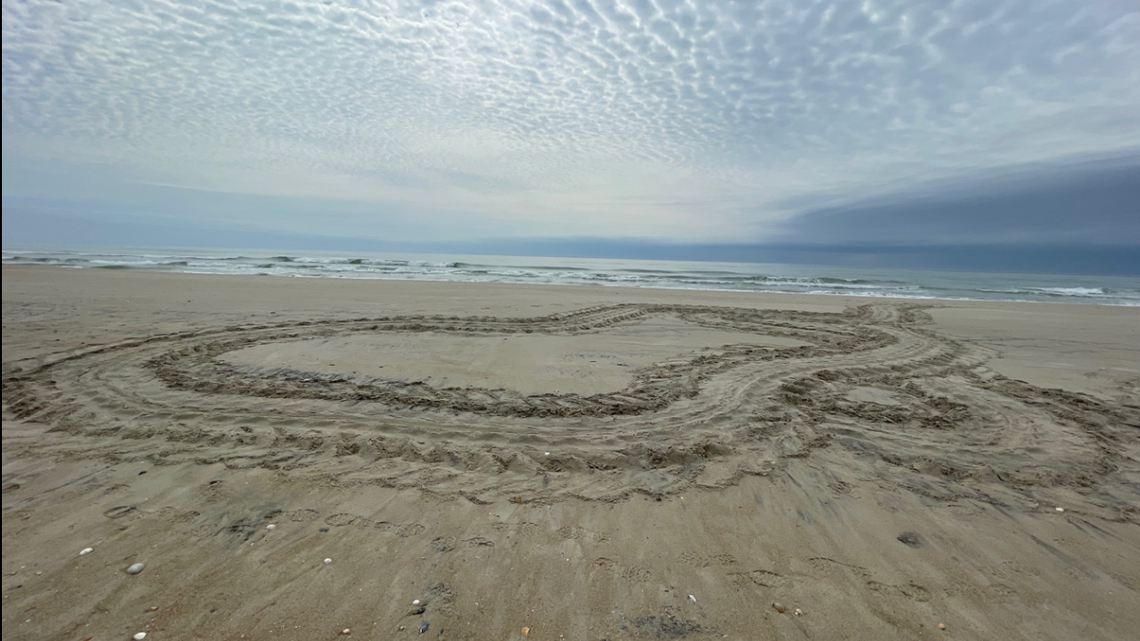 Tracks show sea creatures have begun emerging from ocean at night on Outer Banks